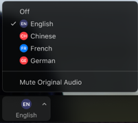 Language Choice Zoom